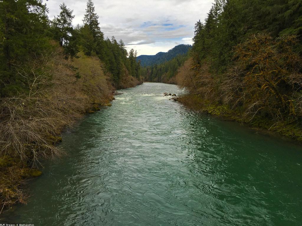 ការបាការ៉ាត់: ជំហានដើម្បីសម្រេចគោលបំណងជីវិត