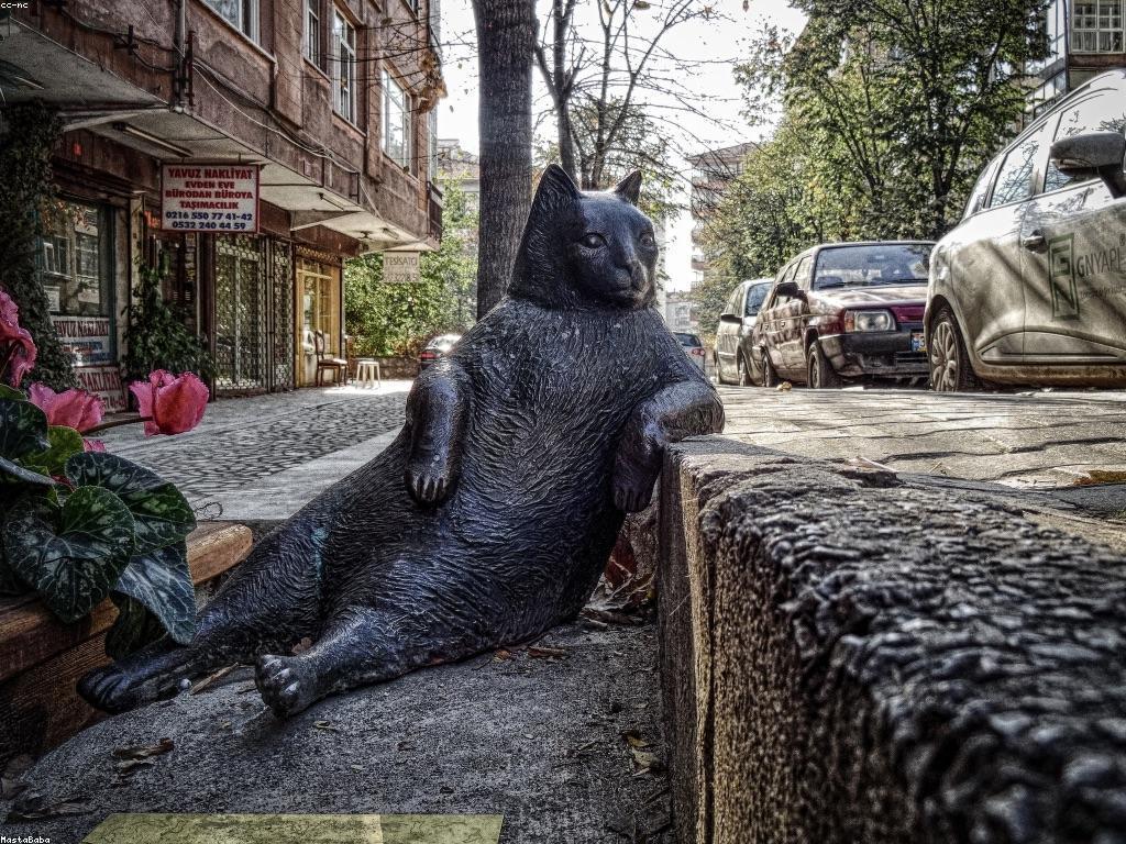 សារៈសំខាន់នៃយុទ្ធសាស្ត្រនៅក្នុងការប្រកួតបាការ៉ាត់